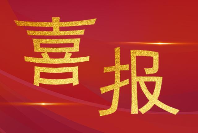 喜報(bào)|加華榮獲2024年度中國電工技術(shù)學(xué)會科技進(jìn)步獎